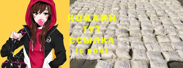 ПСИЛОЦИБИНОВЫЕ ГРИБЫ Карталы